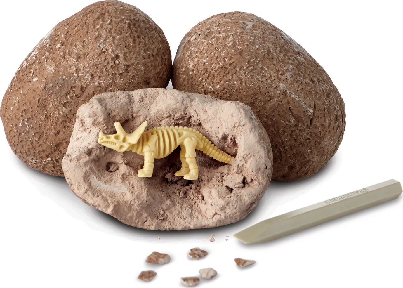 Dig It Up! Dinosaur Skeletons - Image 4
