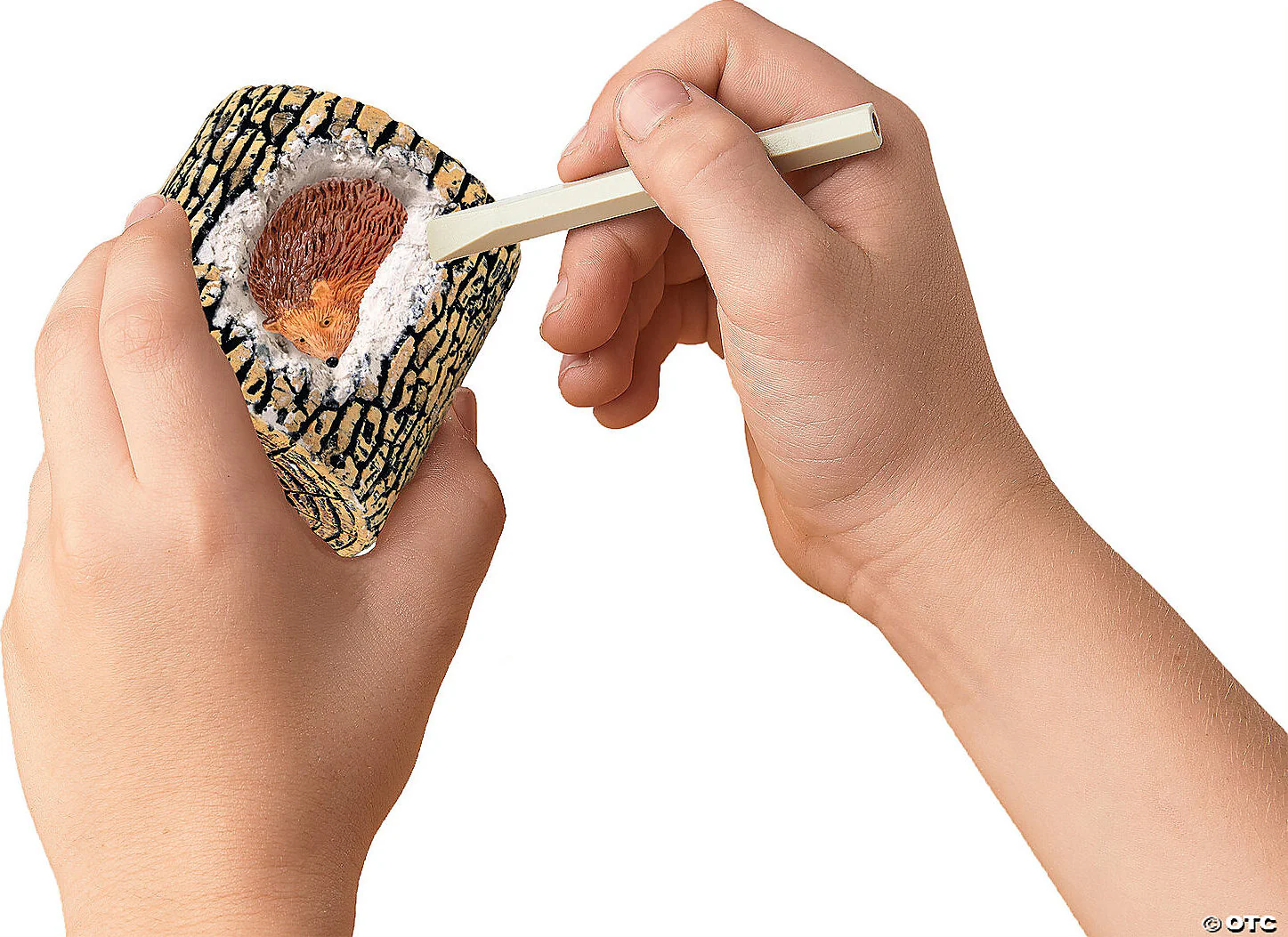 Dig it Up! Woodland Animals Excavation Kit - Image 4