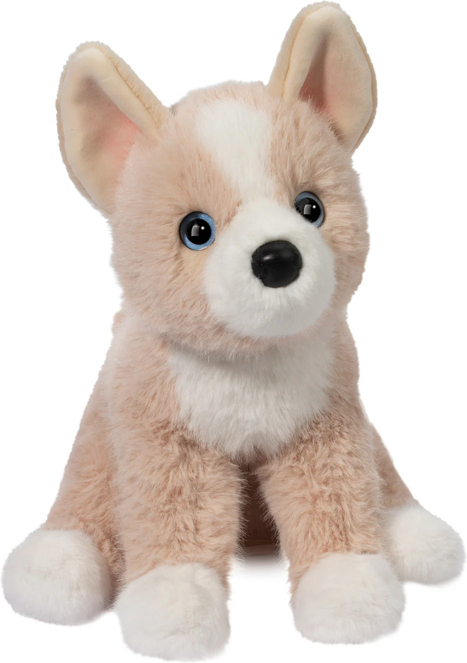 Pookie Pomsky Soft - Image 2