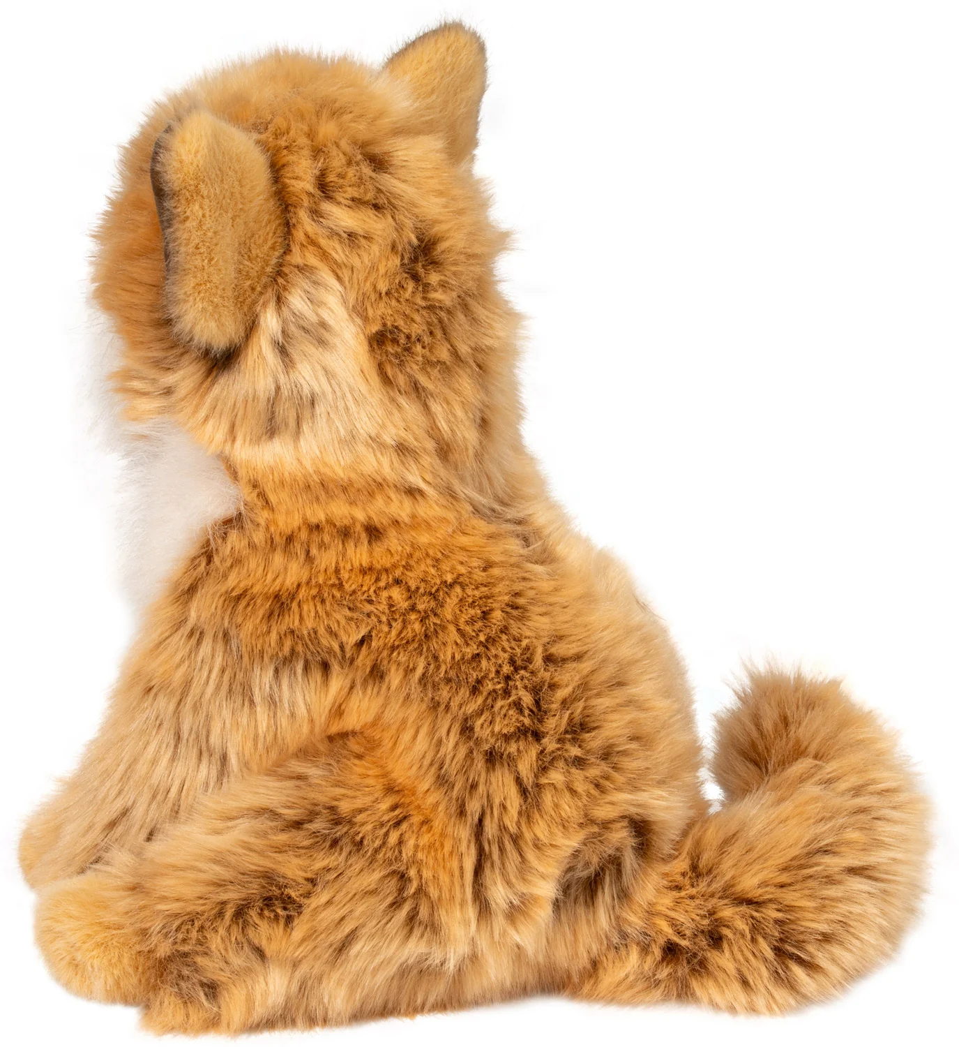Dove Pomsky - Image 5