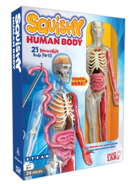 Squishy Human Body