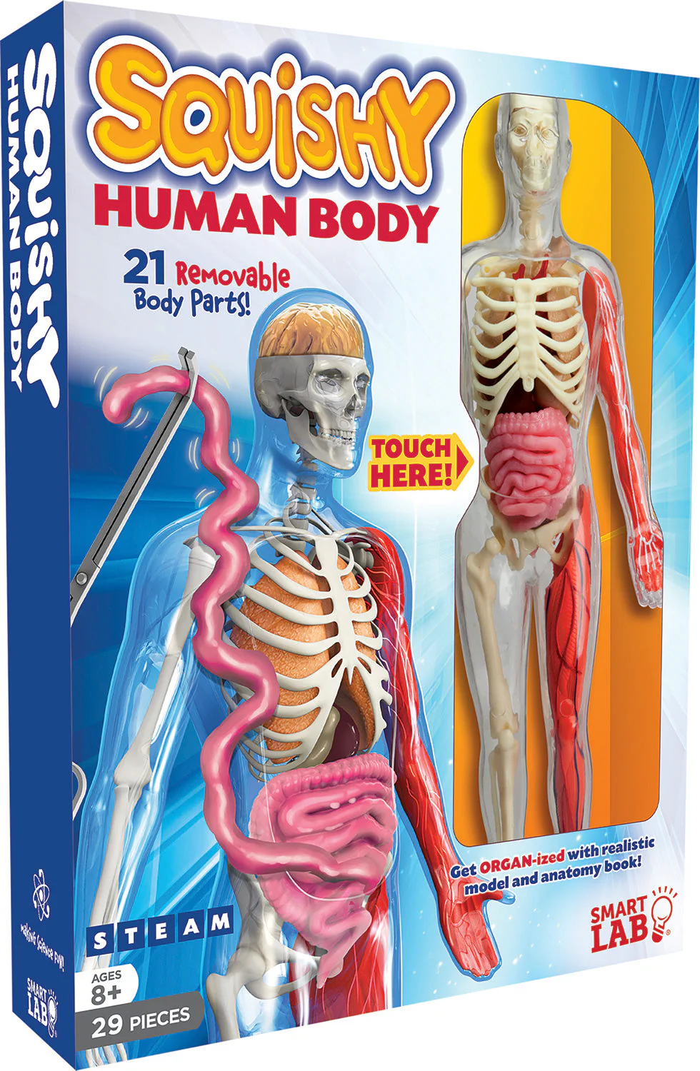 Squishy Human Body - Image 6
