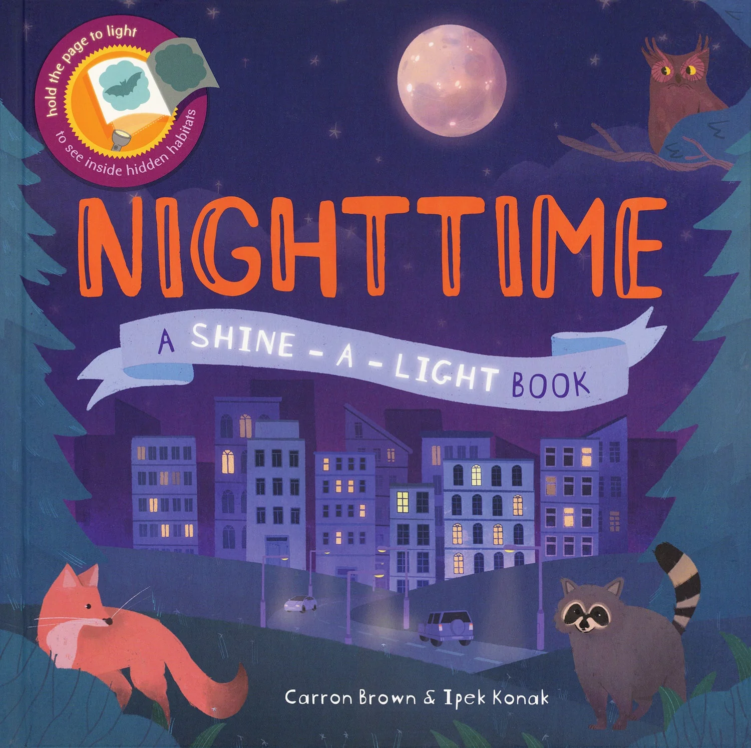 Nighttime Shine A Light Book
