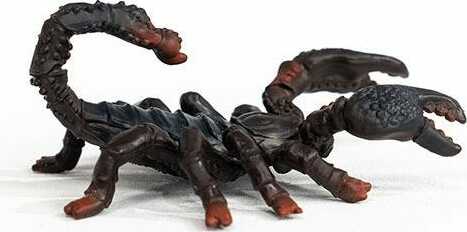 Emperor Scorpion - Image 4