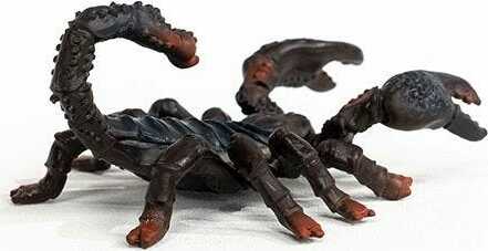Emperor Scorpion - Image 5