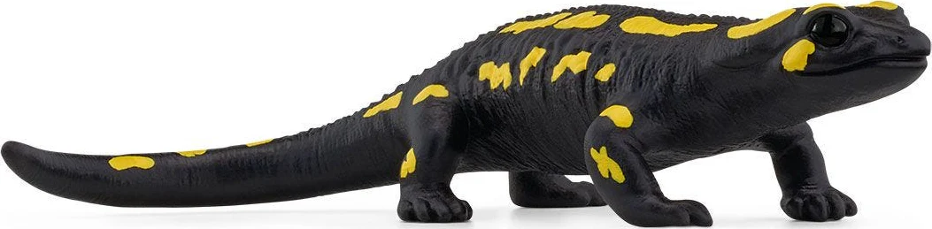 Fire Salamander - Image 2