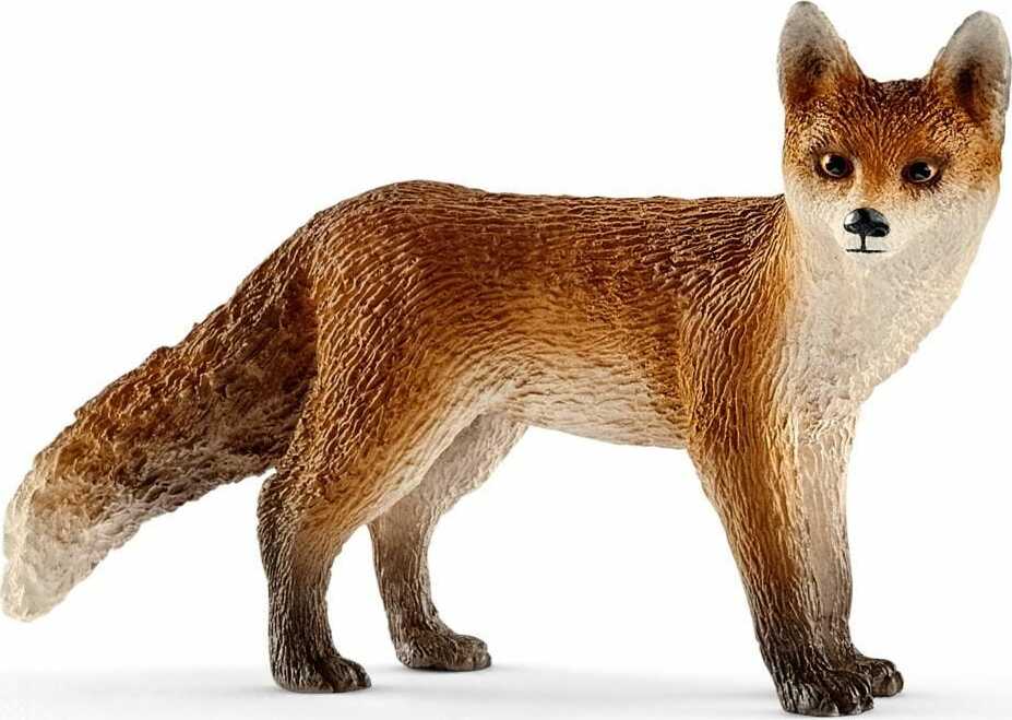Fox - Image 2