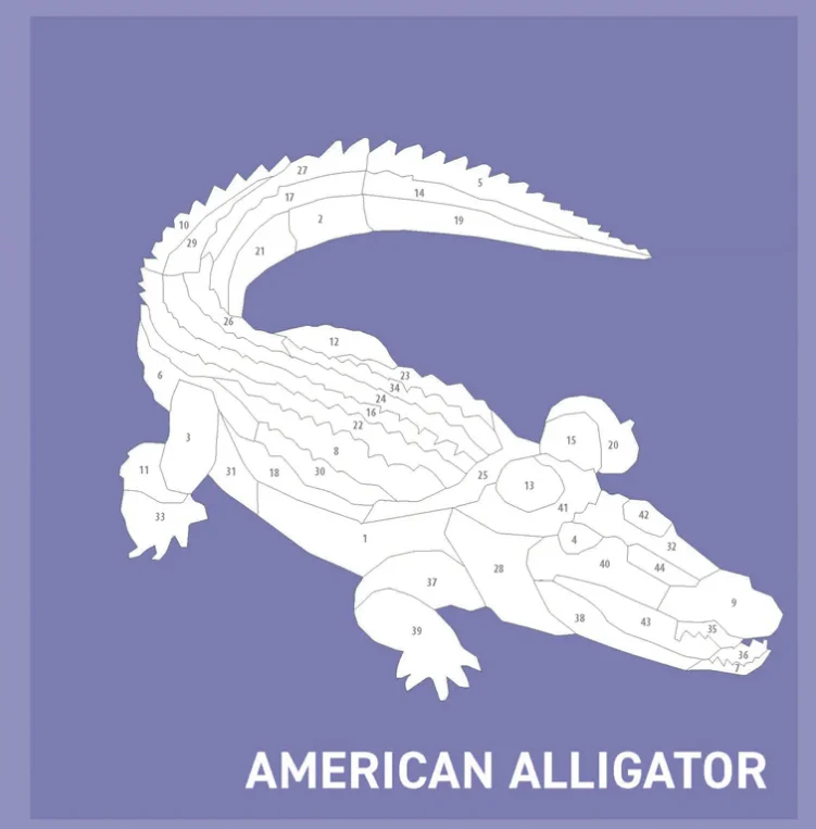 My Sticker Paintings Reptiles - Image 2