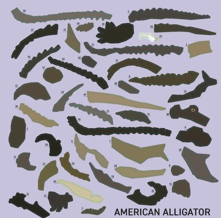 My Sticker Paintings Reptiles - Image 3