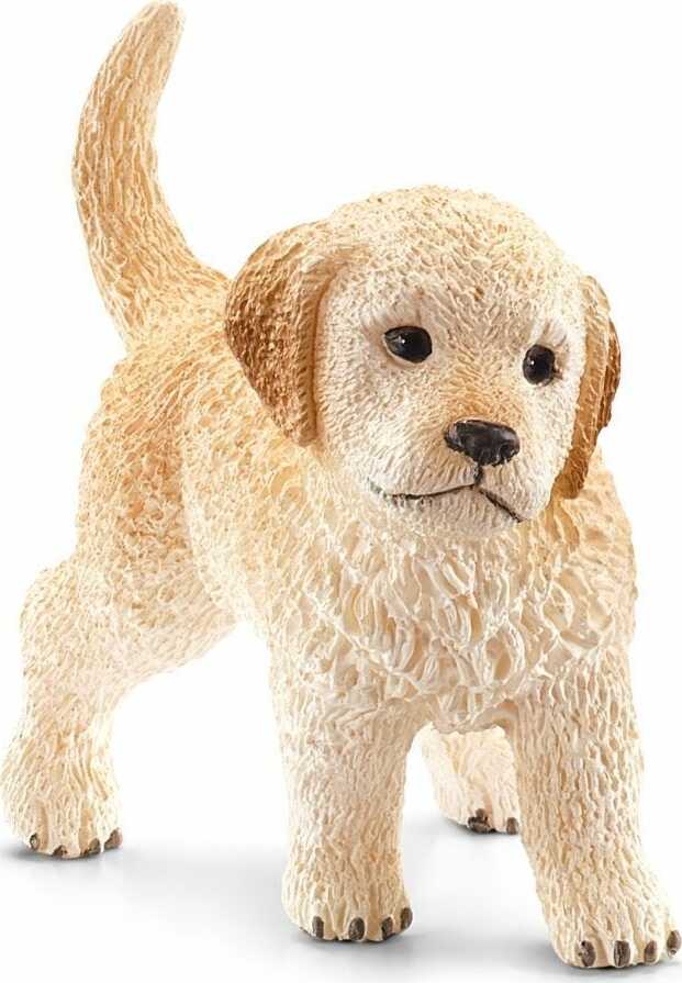 Golden Retriever puppy - Image 2