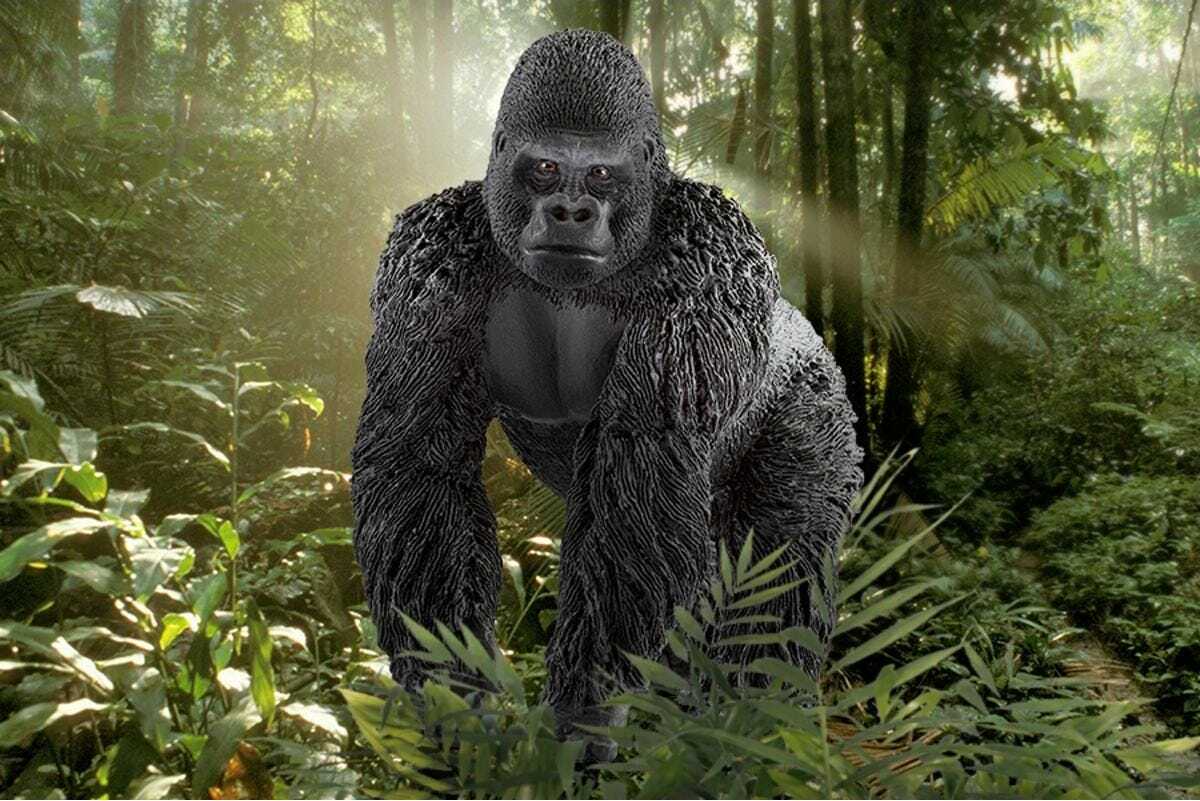 Gorilla, Male - Image 2