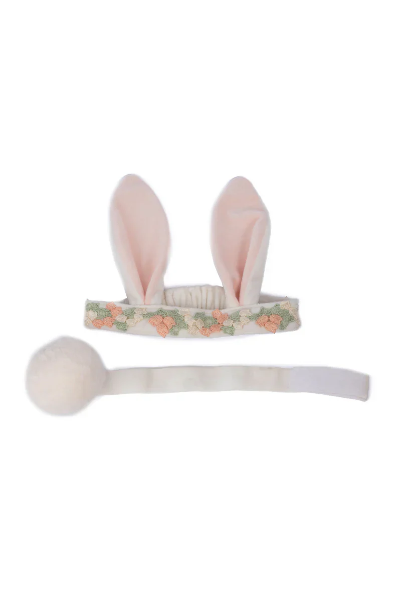 Hippity Hop Bunny Ears And Tail