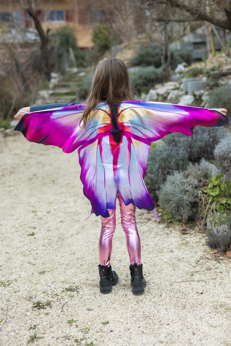 Ombre Butterfly Soft Wings Size 4/6 - Image 2