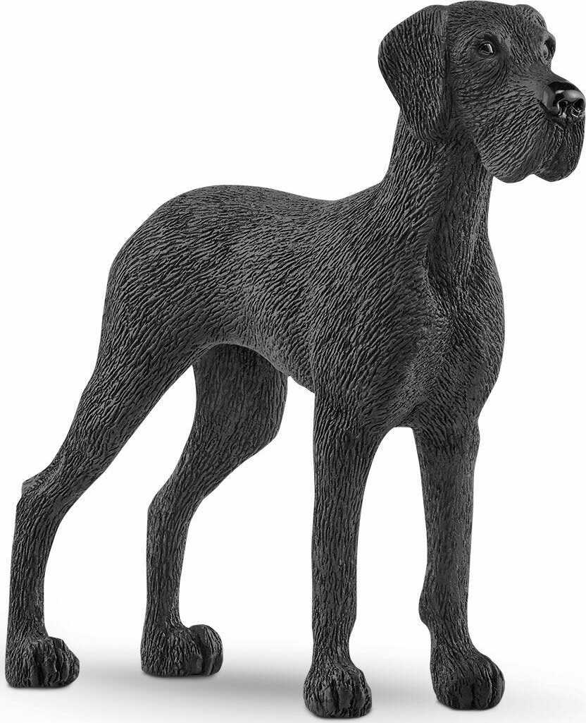 Great Dane - Image 2