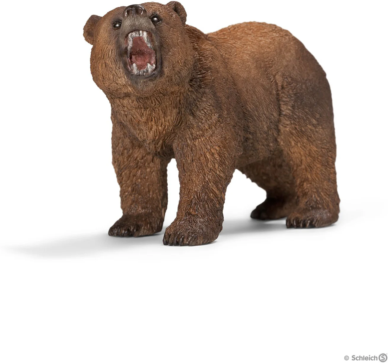 Grizzly bear - Image 2