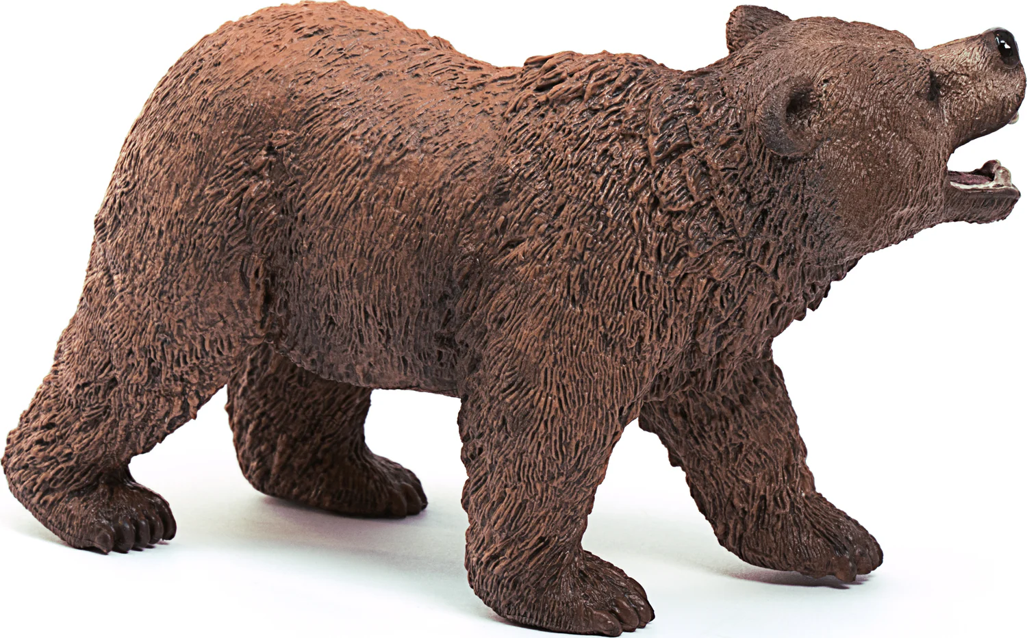 Grizzly bear - Image 3