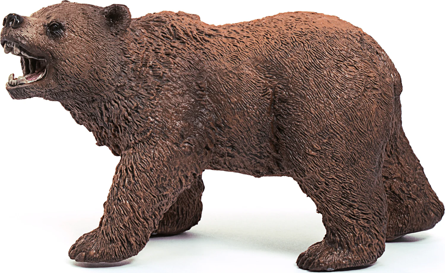 Grizzly bear - Image 4
