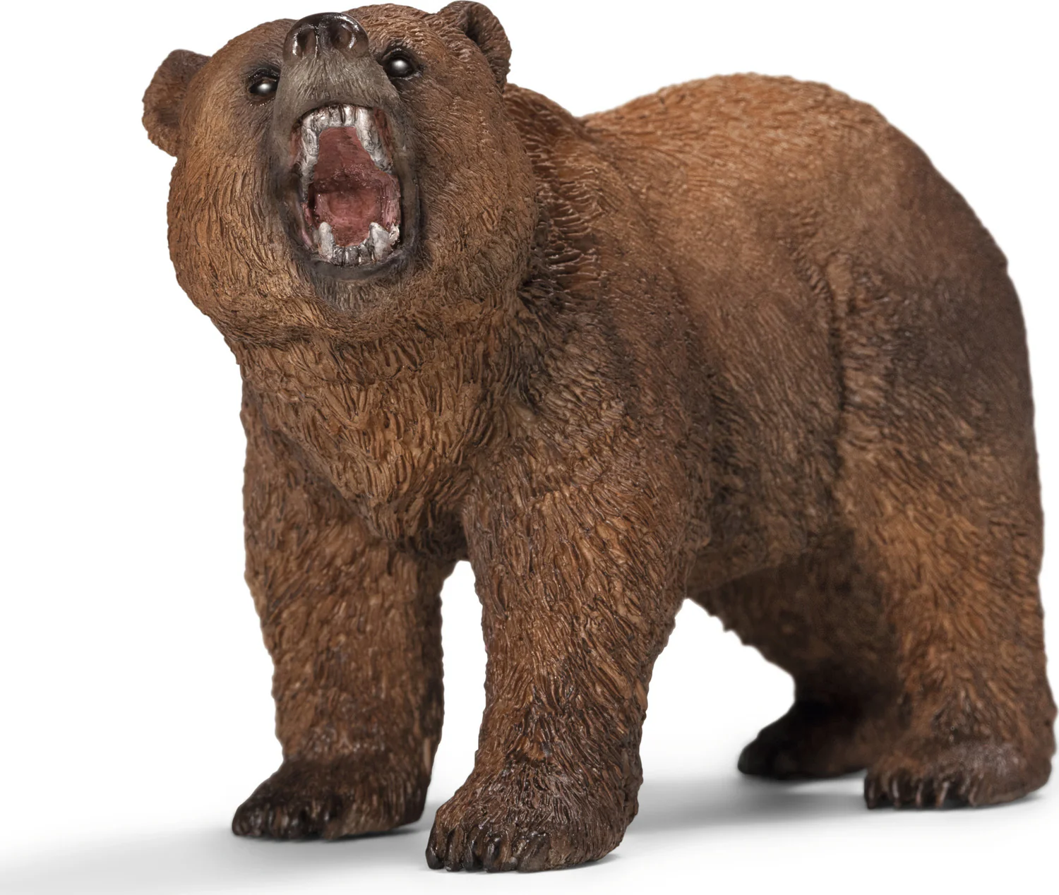 Grizzly bear - Image 6