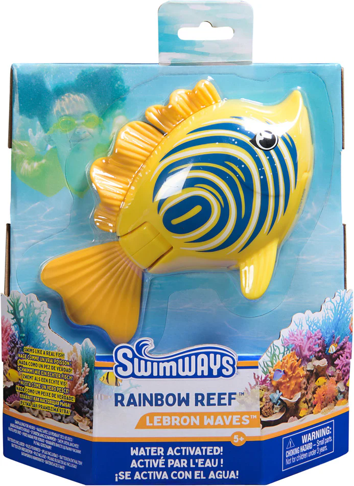 Rainbow Reef fish (sold individually)