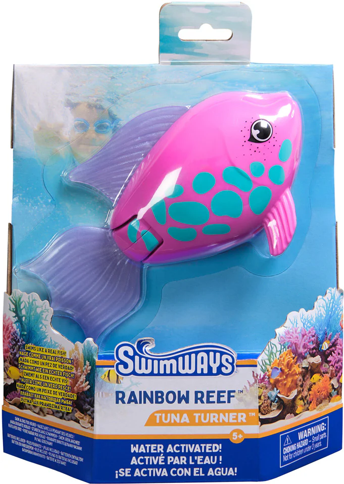 Rainbow Reef fish (sold individually) - Image 4