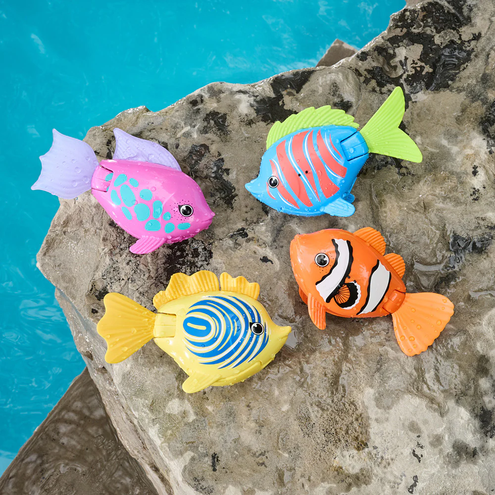 Rainbow Reef fish (sold individually) - Image 5