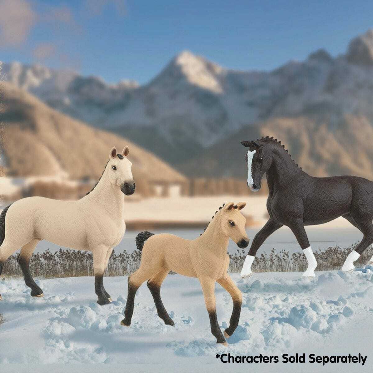 Hanoverian Mare, Black - Image 2