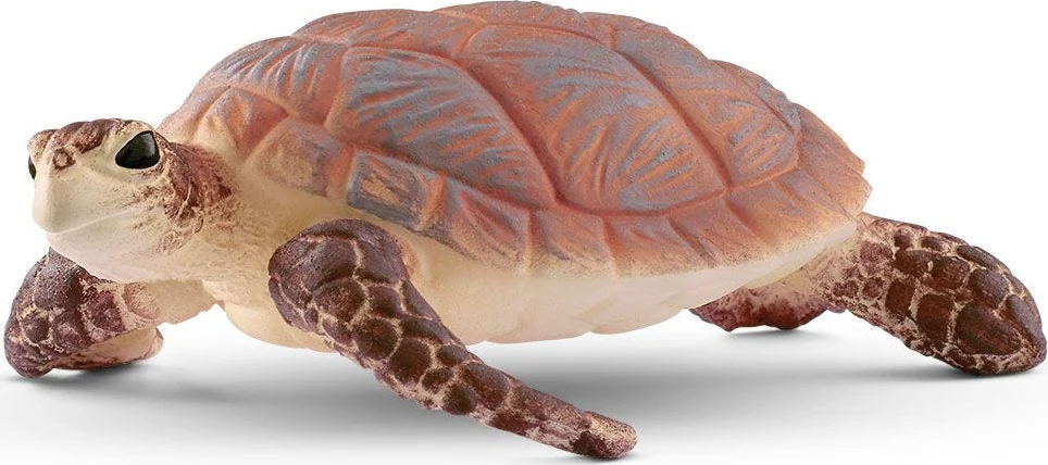Hawksbill Sea Turtle - Image 2