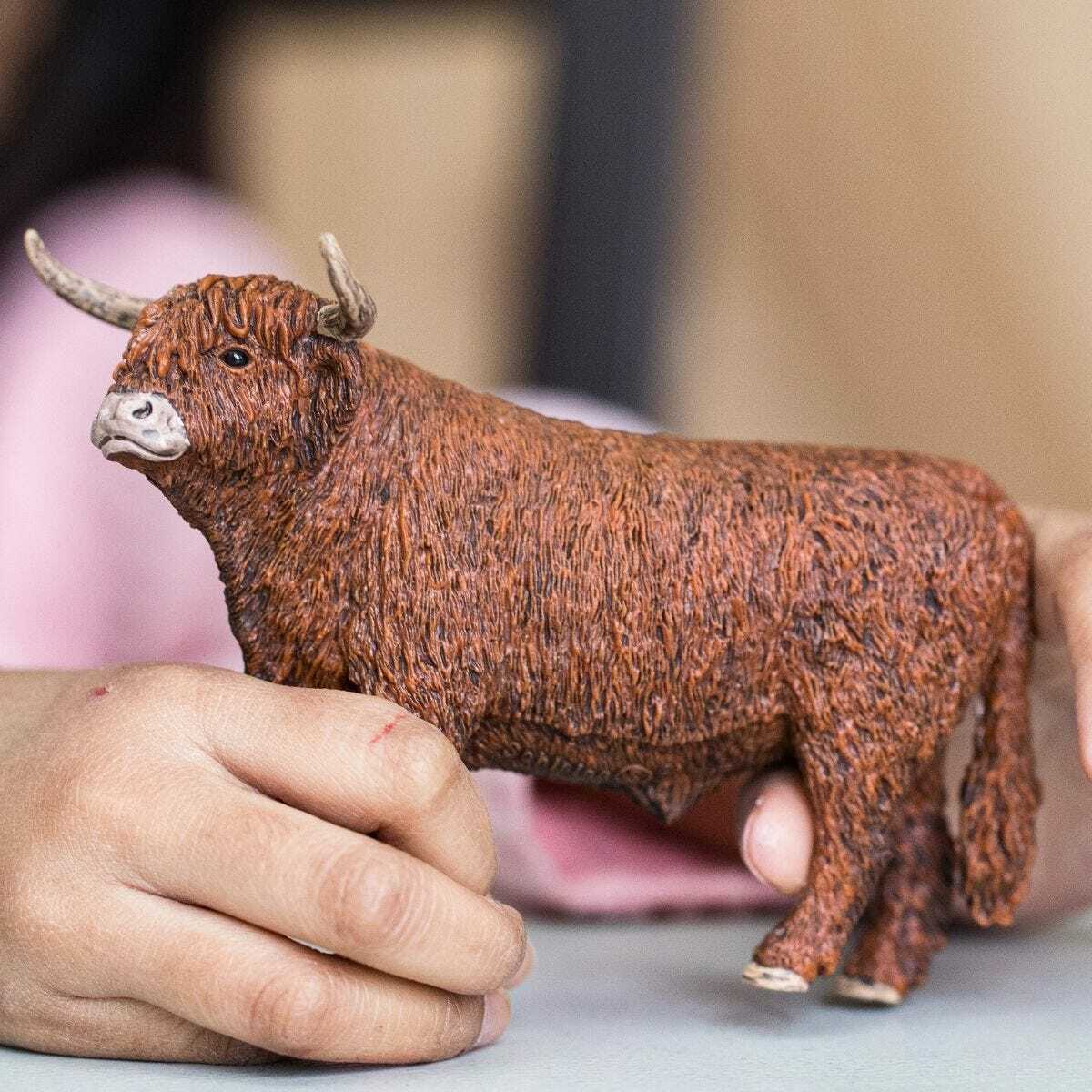 Highland Bull - Image 2