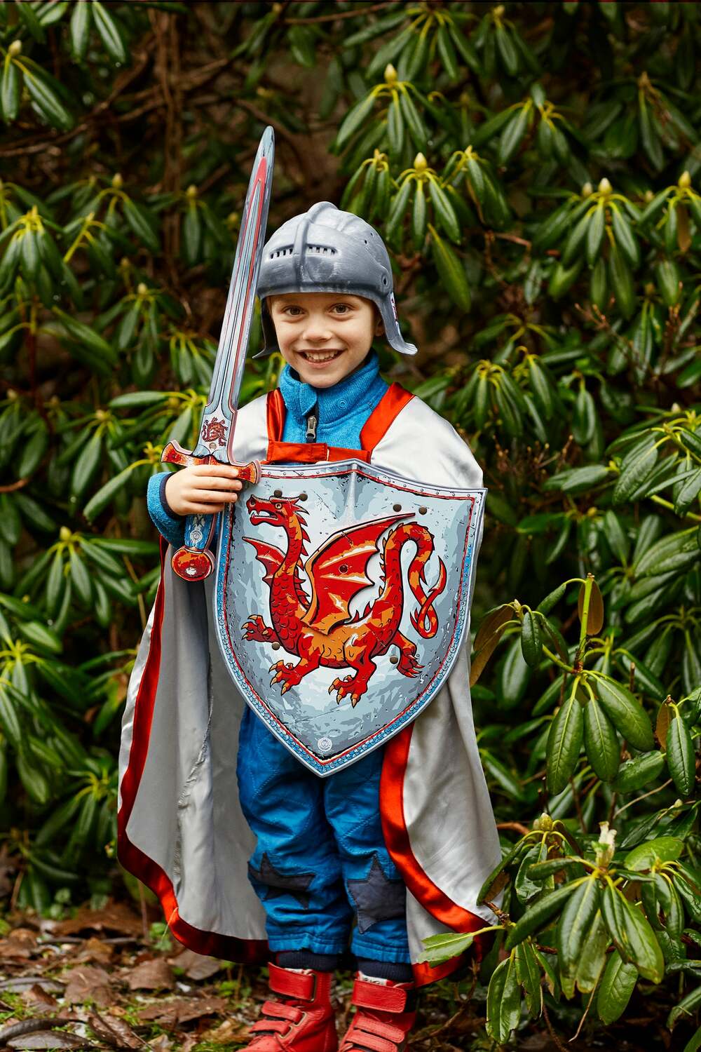 Shield Amber Dragon Knight - Image 2