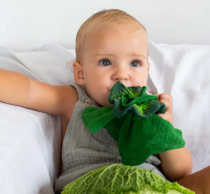 Kendall The Kale Mini Doudou Teether - Image 3