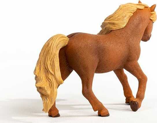 Icelandic Pony Stallion - Image 3