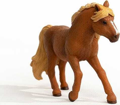 Icelandic Pony Stallion - Image 4