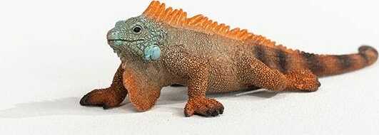 Iguana - Image 3