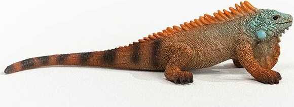 Iguana - Image 6