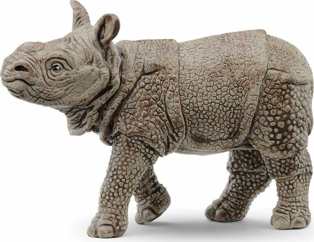 Indian Rhinoceros Baby - Image 2