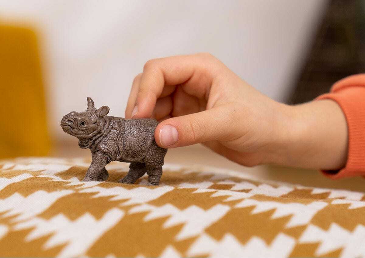 Indian Rhinoceros Baby - Image 3