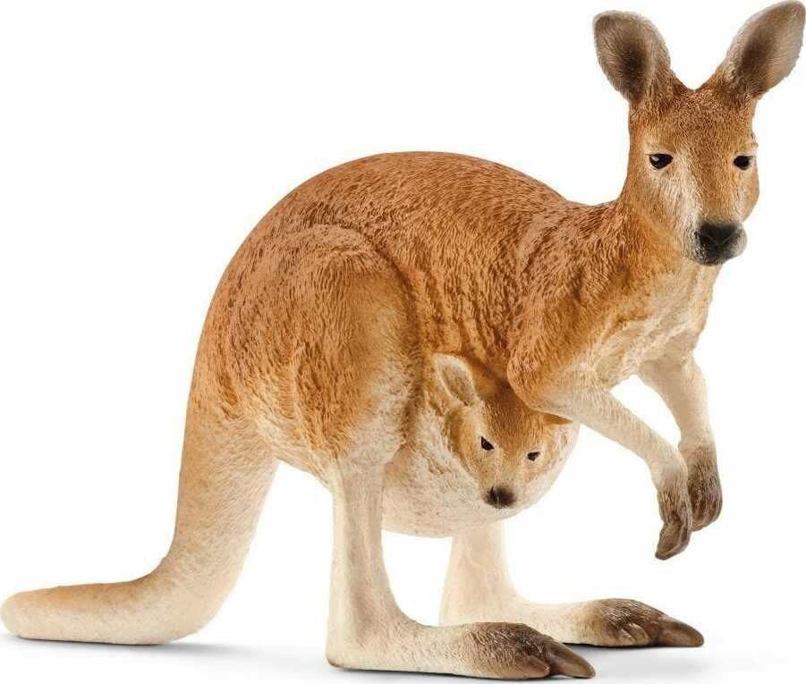 Kangaroo - Image 2