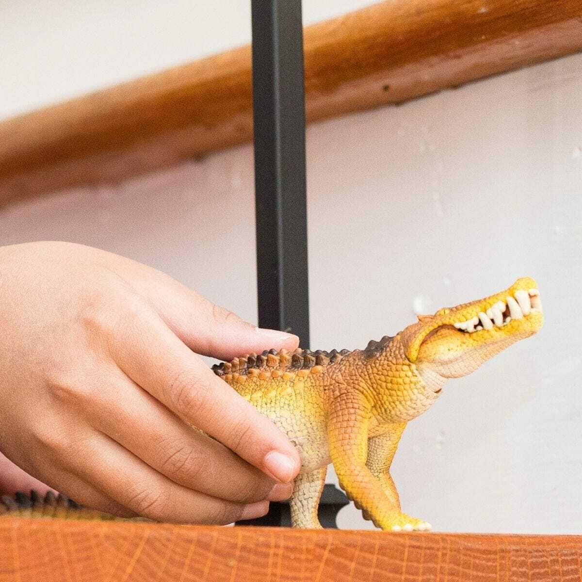 Kaprosuchus - Image 4