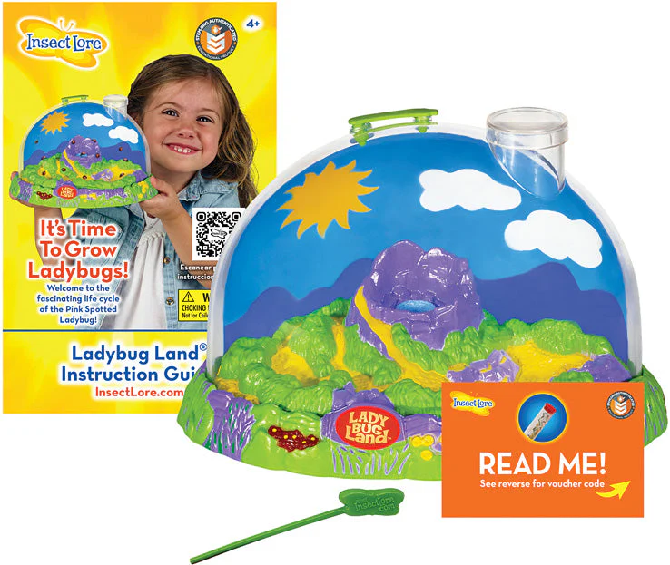 Ladybug Land with Voucher - Image 3