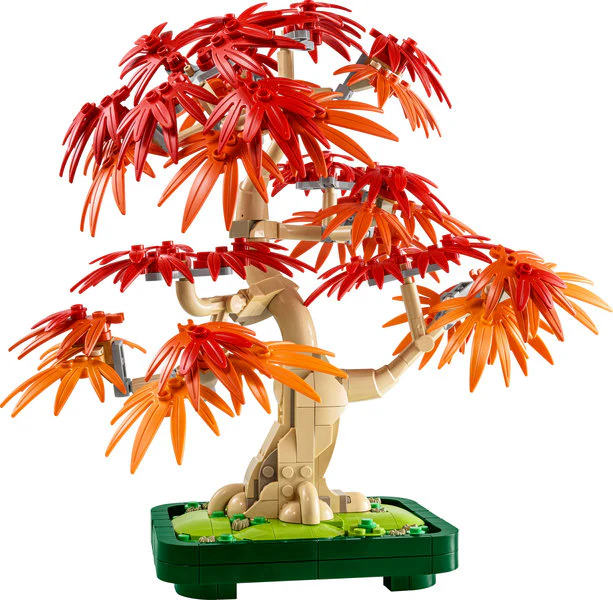 LEGO® Botanicals Japanese Red Maple Bonsai Tree - Image 3