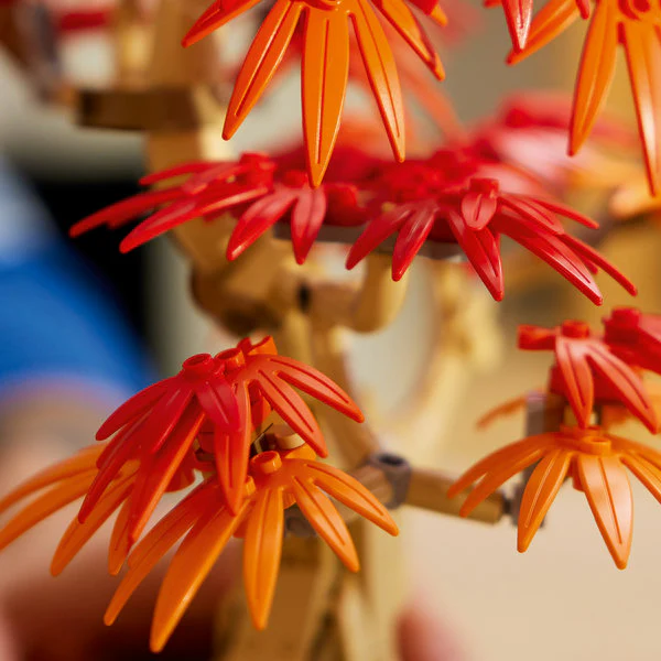 LEGO® Botanicals Japanese Red Maple Bonsai Tree - Image 7