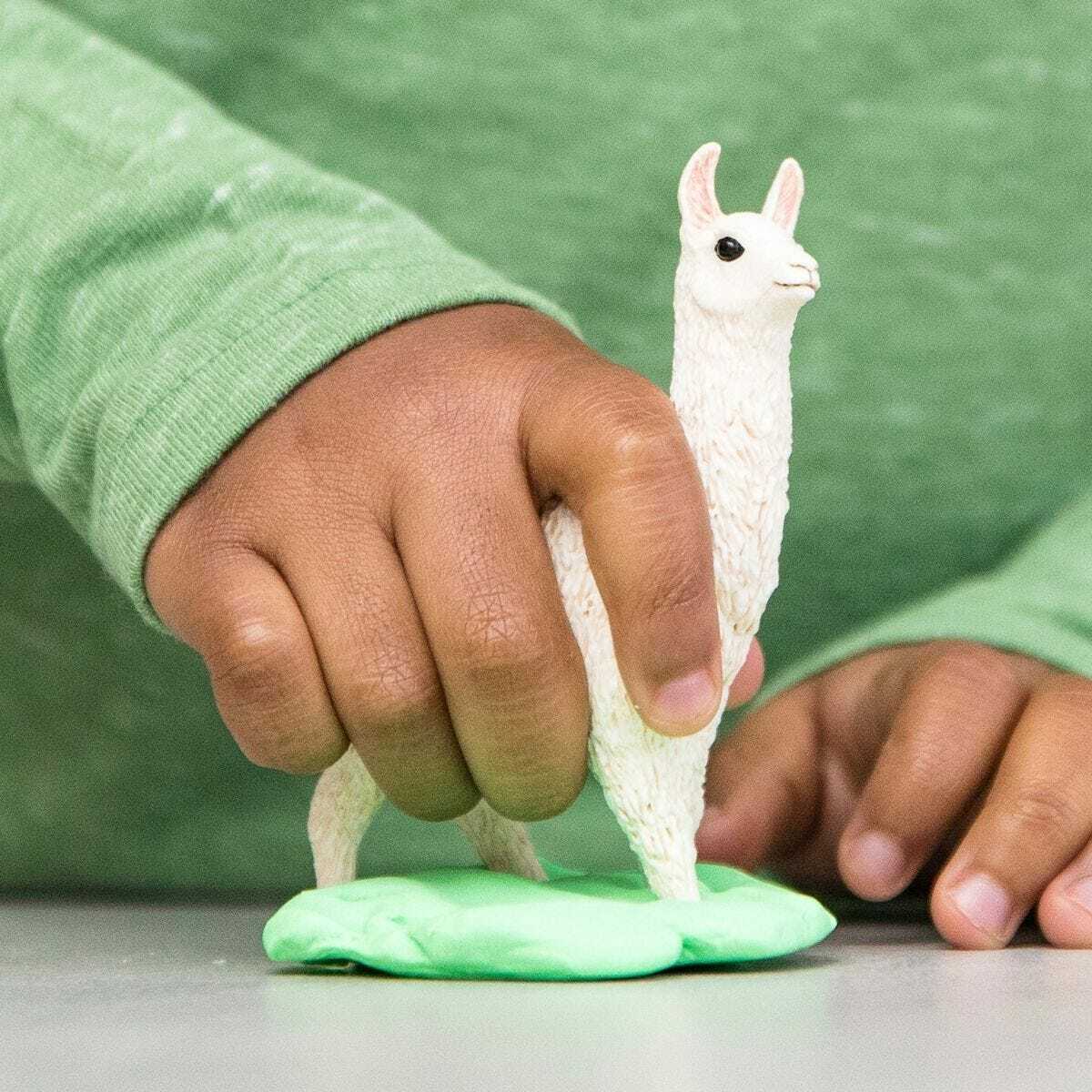 Llama - Image 3