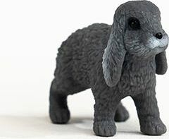 Lop-Eared Rabbit - Image 5