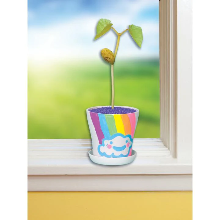 Magic Bean Garden - Image 3