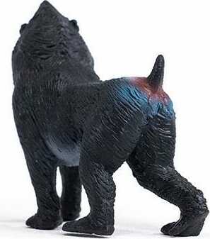 Mandrill - Image 3