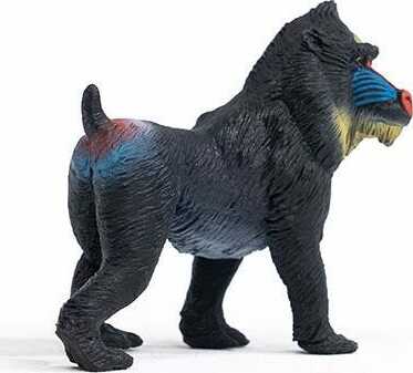 Mandrill - Image 4