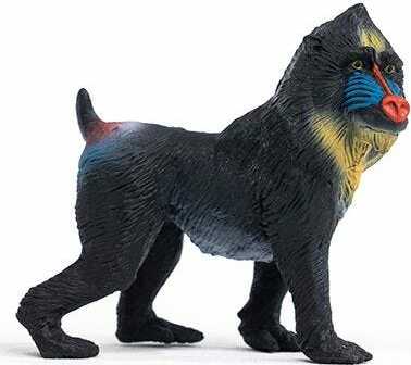 Mandrill - Image 5