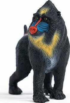 Mandrill - Image 6