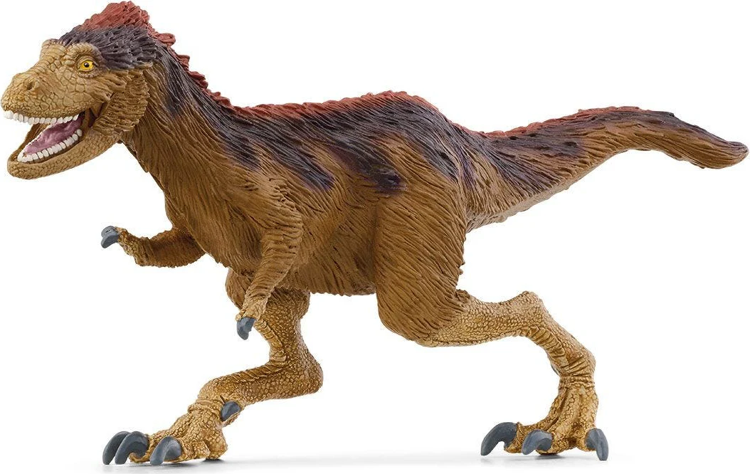 Moros Intrepidus - Image 2