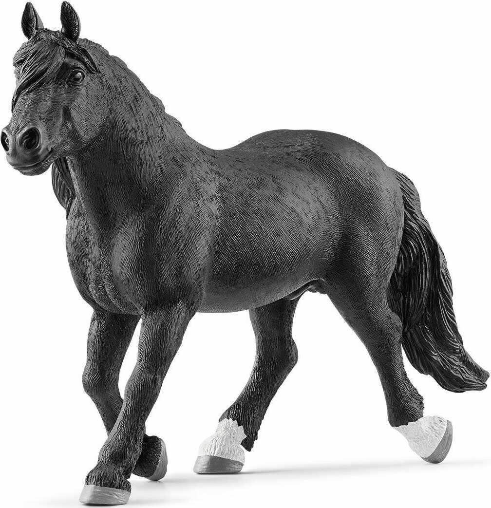 Noriker stallion - Image 2